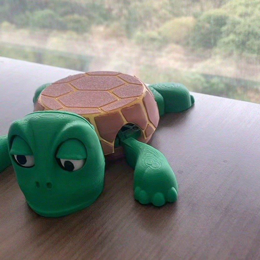 Turtle Joy Coaster - VIP