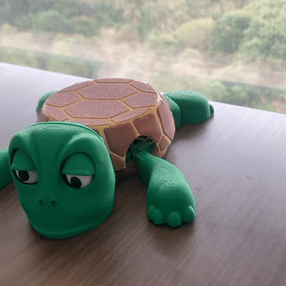 Turtle Joy Coaster - VIP