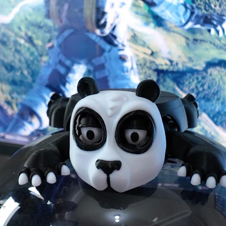 Turtle Joy Coaster - VIP